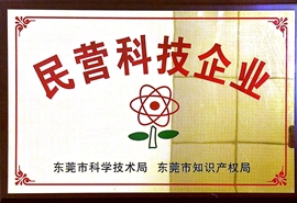 民營科技企業