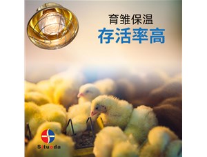 養雞場選用育雛保溫燈有哪些好處?