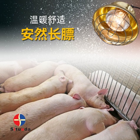 畜牧養殖保溫取暖燈