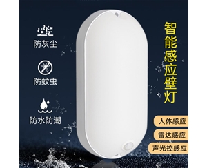 智能感應壁燈