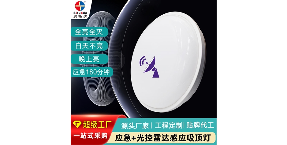 應急+光控雷達感應吸頂燈