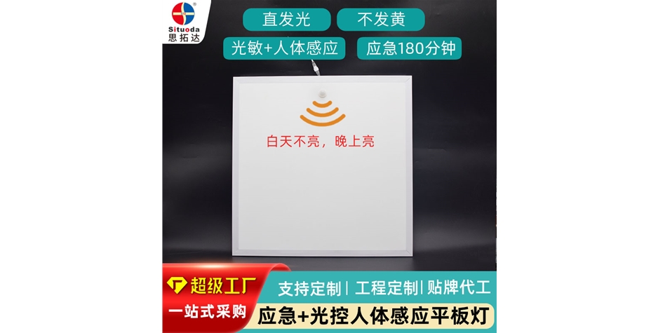 應急+光控人體感應面板燈