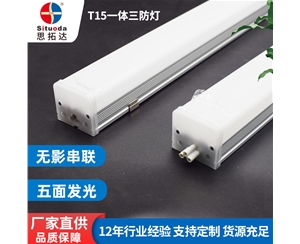 T15五面發光線條燈