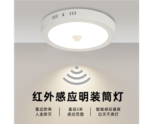 智能感應明裝筒燈